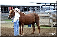 4H-1st-Show-2004-0036.jpg