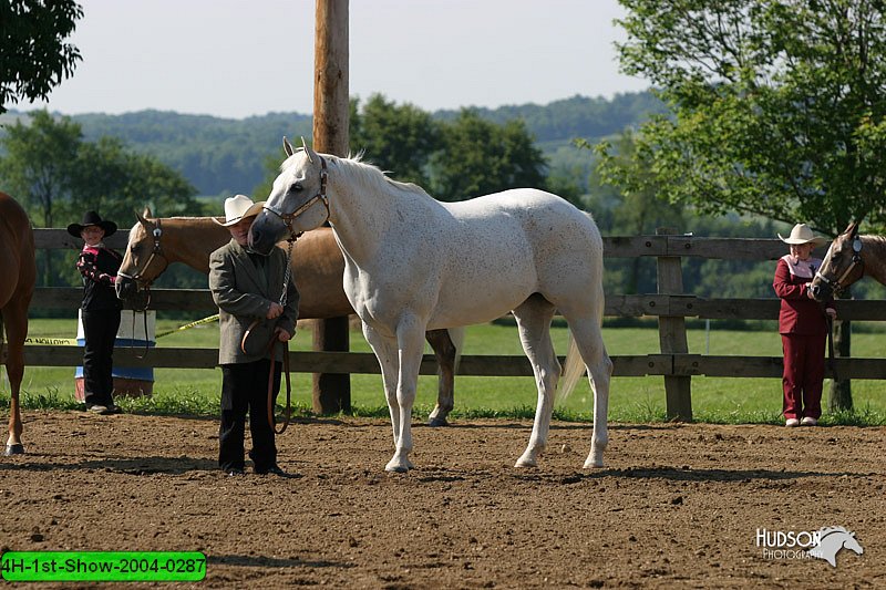 4H-1st-Show-2004-0287.jpg