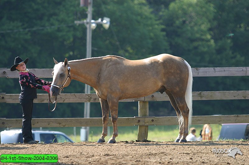 4H-1st-Show-2004-0306.jpg