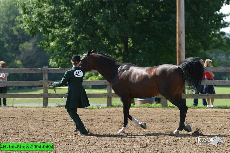 4H-1st-Show-2004-0404.jpg