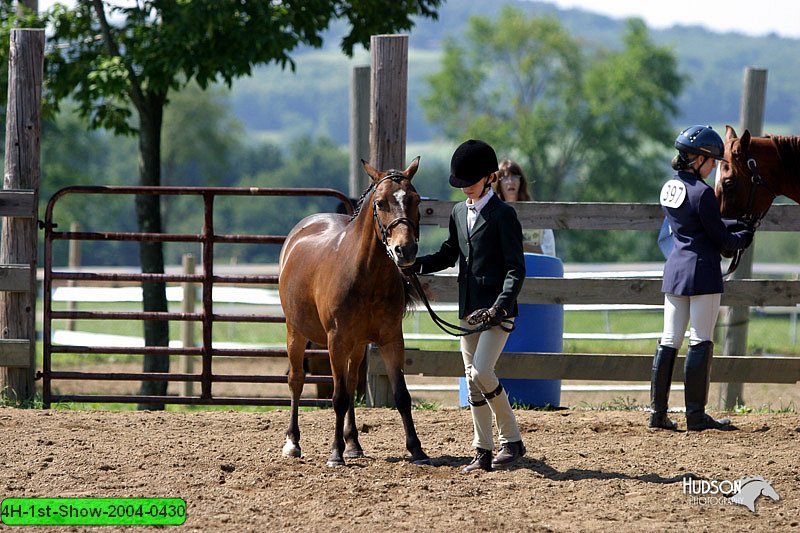 4H-1st-Show-2004-0430.jpg