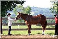 4H-1st-Show-2004-0192.jpg