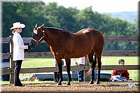 4H-1st-Show-2004-0194.jpg