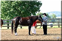 4H-1st-Show-2004-0195.jpg