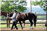 4H-1st-Show-2004-0197.jpg