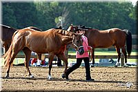 4H-1st-Show-2004-0201.jpg