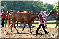 4H-1st-Show-2004-0202.jpg