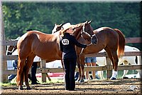 4H-1st-Show-2004-0207.jpg