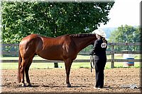 4H-1st-Show-2004-0211.jpg