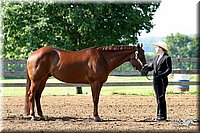 4H-1st-Show-2004-0212.jpg