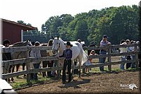 4H-1st-Show-2004-0266.jpg