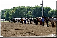 4H-1st-Show-2004-0366.jpg