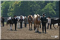 4H-1st-Show-2004-0372.jpg