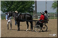 4H-2nd-Show-2004-0500.jpg