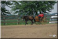 4H-2nd-Show-2004-0503.jpg