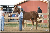 4H-2nd-Show-2004-0033.jpg