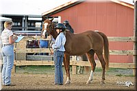 4H-2nd-Show-2004-0034.jpg