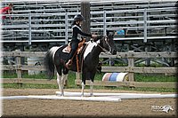 4H-2nd-Show-2004-0801.jpg