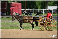 4H-3rd-Show-2004-0455.jpg