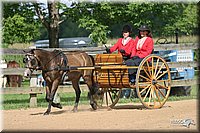 4H-3rd-Show-2004-0457.jpg