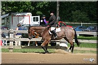 4H-3rd-Show-2004-0464.jpg