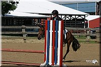 4H-3rd-Show-2004-1038.jpg