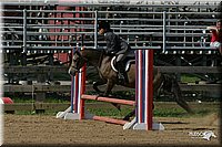 4H-3rd-Show-2004-1065.jpg