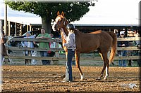 4H-3rd-Show-2004-0037.jpg