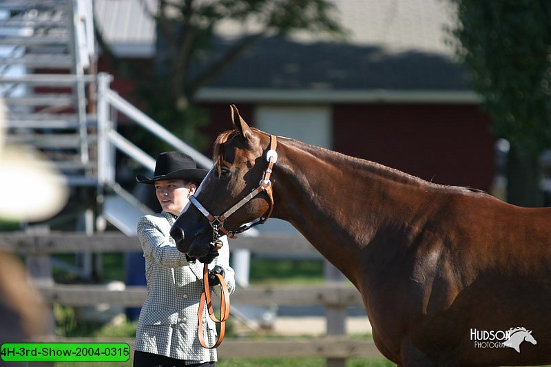4H-3rd-Show-2004-0315.jpg