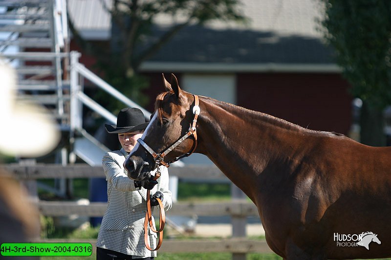 4H-3rd-Show-2004-0316.jpg