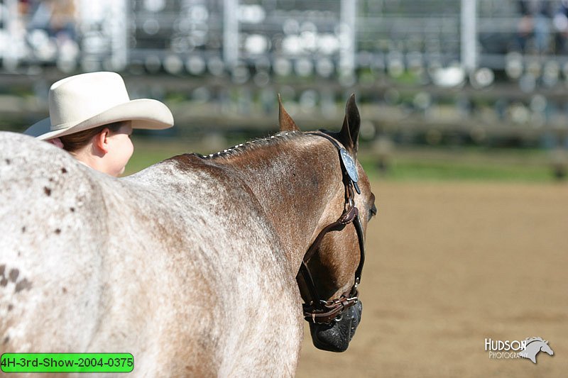 4H-3rd-Show-2004-0375.jpg