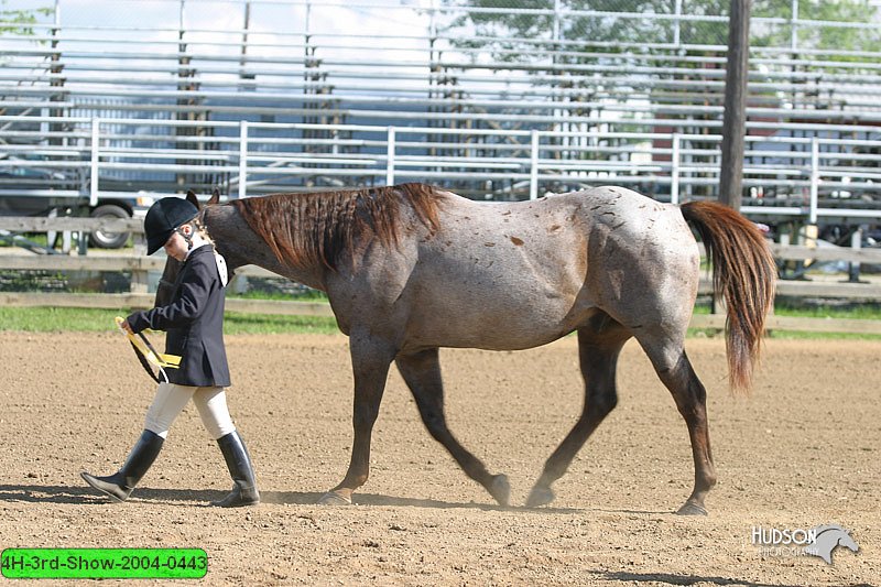 4H-3rd-Show-2004-0443.jpg