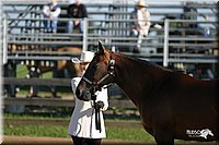 4H-3rd-Show-2004-0300.jpg