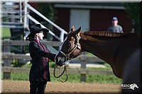 4H-3rd-Show-2004-0304.jpg