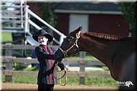 4H-3rd-Show-2004-0306.jpg