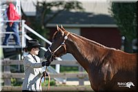 4H-3rd-Show-2004-0313.jpg