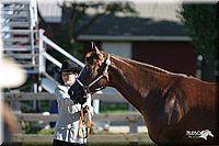 4H-3rd-Show-2004-0315.jpg