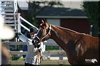 4H-3rd-Show-2004-0316.jpg