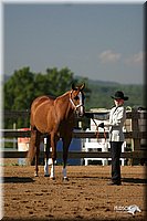 4H-3rd-Show-2004-0321.jpg