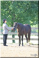 4H-3rd-Show-2004-0322.jpg