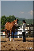 4H-3rd-Show-2004-0323.jpg