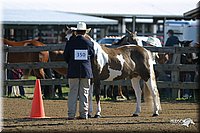 4H-3rd-Show-2004-0326.jpg