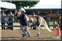 4H-3rd-Show-2004-0327.jpg