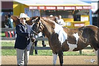 4H-3rd-Show-2004-0329.jpg