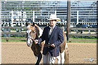 4H-3rd-Show-2004-0330.jpg