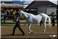 4H-3rd-Show-2004-0331.jpg