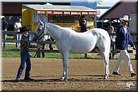 4H-3rd-Show-2004-0332.jpg