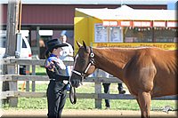 4H-3rd-Show-2004-0336.jpg