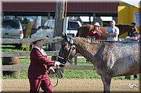 4H-3rd-Show-2004-0341.jpg
