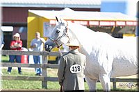 4H-3rd-Show-2004-0358.jpg